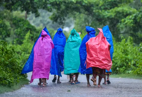 wet, spell, likely, continue, over, northwest, india, imd- True Scoop