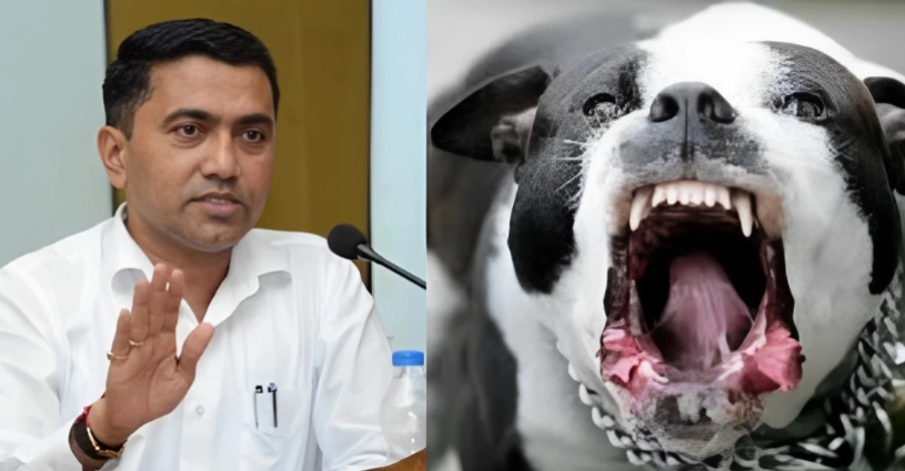 Trending Goa Chief Minister Pramod Sawant Ban on aggressive dog breeds