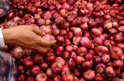 Onion prices up, selling at Rs 50-80 per kg across NCR | onion,prices,selling- True Scoop