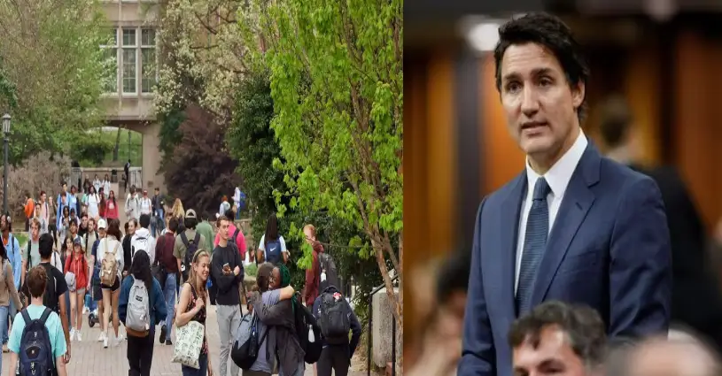 Canada Study Visa: Trudeau govt to verify Letter of Acceptance after 700 Indian students face immigration fraud