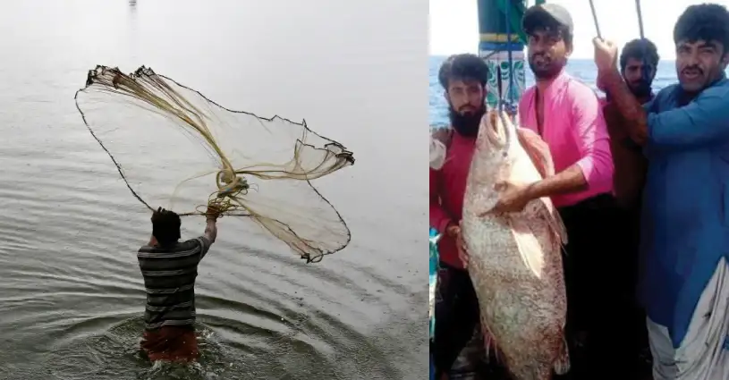 Who is Haji Baloch? Pakistani fisherman turns millionaire overnight after catching THIS rare fish