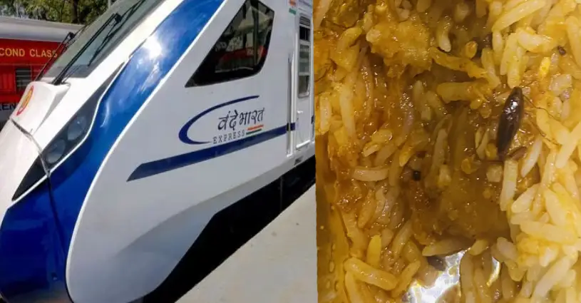 Dead cockroach found in Vande Bharat Express' 'non-veg thali'; IRCTC apologises to 'traumatized' passenger