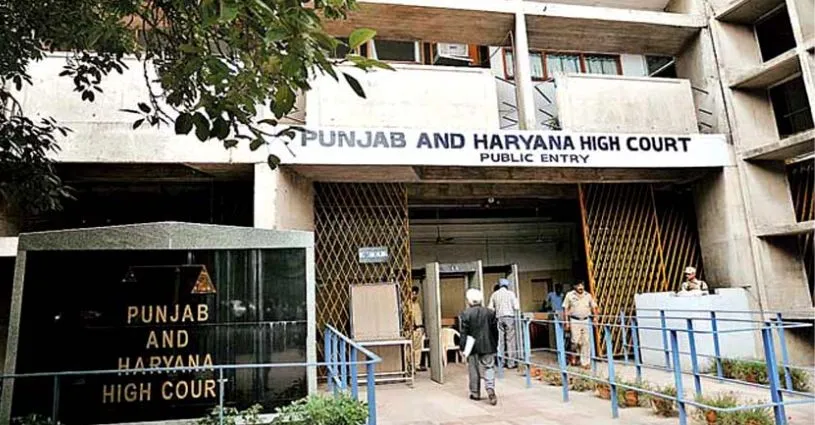 Punjab Trending Punjab & Haryana High Court Announcement