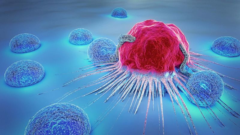 What is NexCAR-19? All about India’s first ever T-cell therapy for affordable cancer care | NexCAR-19,Cancer-treatment-India,Indian-Cancer-Treatment- True Scoop