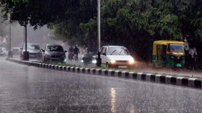 Weather Alert: IMD issues orange alert in Punjab; THESE areas to experience rain & strong winds | Punjab,Weather-Alert-Punjab,Punjab-Weather-Update- True Scoop