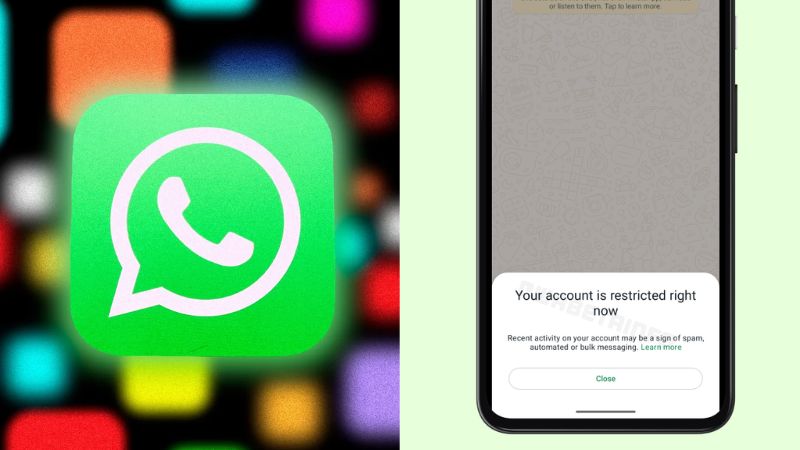Whatsapp can temporarily block your account if you do THIS | India,Trending,Whatsapp-Block- True Scoop