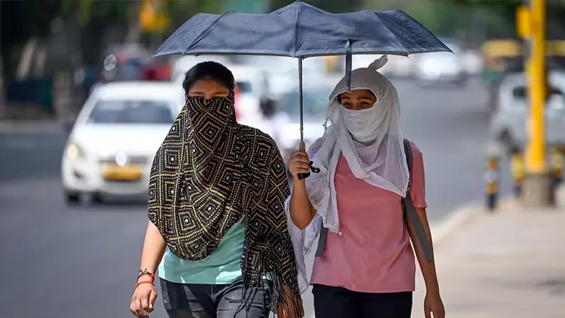 Heatwave In Punjab, Punjab Heatwave Alert, Punjab Temperature touches 48, Tips to protect from heatwave, tips to be safe from heatwave, heatwave alert in Punjab, ways to be protected during heatwave- True Scoop
