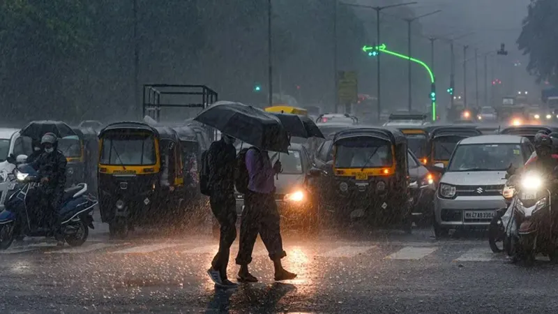 Punjab Weather Update, Punjab Monsoon Update, Punjab Monsoon Date, Punjab heatwave Decline, India Above Normal Rainfall, Punjab Weather Colder 30 May, Punjab Weather News, Punjab Rains, Punjab Heatwave Respite, Punjab- True Scoop