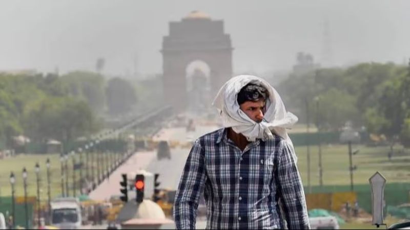 India, Trending, Delhi Heatwave, Delhi Record Temperature, Delhi News, Punjab Heatwave, Delhi Record Heat, Delhi 52 degrees, Delhi Heat, India Heatwave, India Highest Temperature ever, India Hottest Day- True Scoop