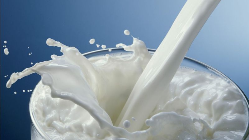 Punjab, Trending, Milk Prices Punjab, Milk Prices Verka, Milk Prices Amul, Prices Amul Verka, Amul Milk, Verka, Milkfed Price, Milk Price increase Punjab Haryana- True Scoop