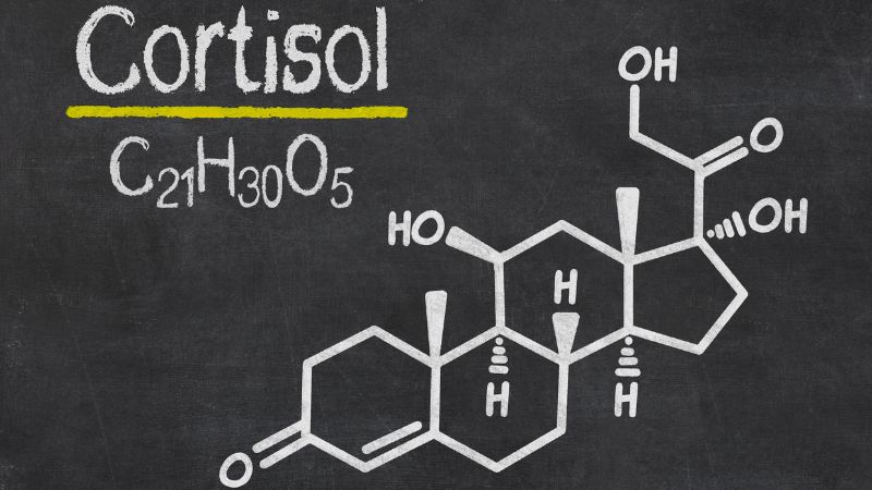 Youth, Extra Lens, Cortisol, All about Cortisol, Human Stress Hormone, What is Cortisol, Cortisol hormone, Uses of Cortisol, What does Cortisol do- True Scoop