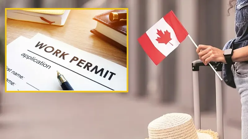 USA, Trending, Canada Visitor Visa, Canada Immigration, work permit in Canada, Canada Work Permit, Canada Visitor Visa Work Permit- True Scoop