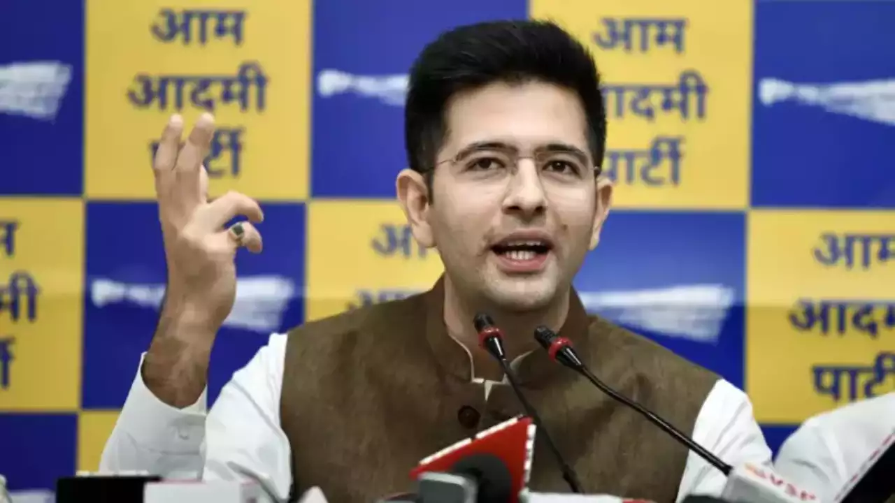 India, Trending, AAP MP Raghav Chadha, Haryana Assembly elections, Haryana Assembly elections 2024, Aam Aadmi Party, national news, top national news- True Scoop