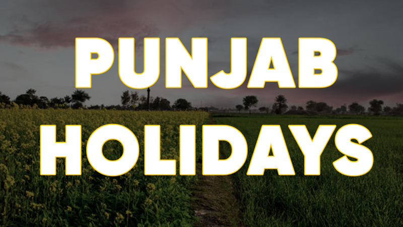 Punjab, Trending, Punjab holidays in October, Punjab Holiday October 2024, 5-Day Holiday in Punjab, Punjab News, Punjab Schools holiday, Punjab Colleges Holiday in October, Punjab Bank Holiday in October- True Scoop