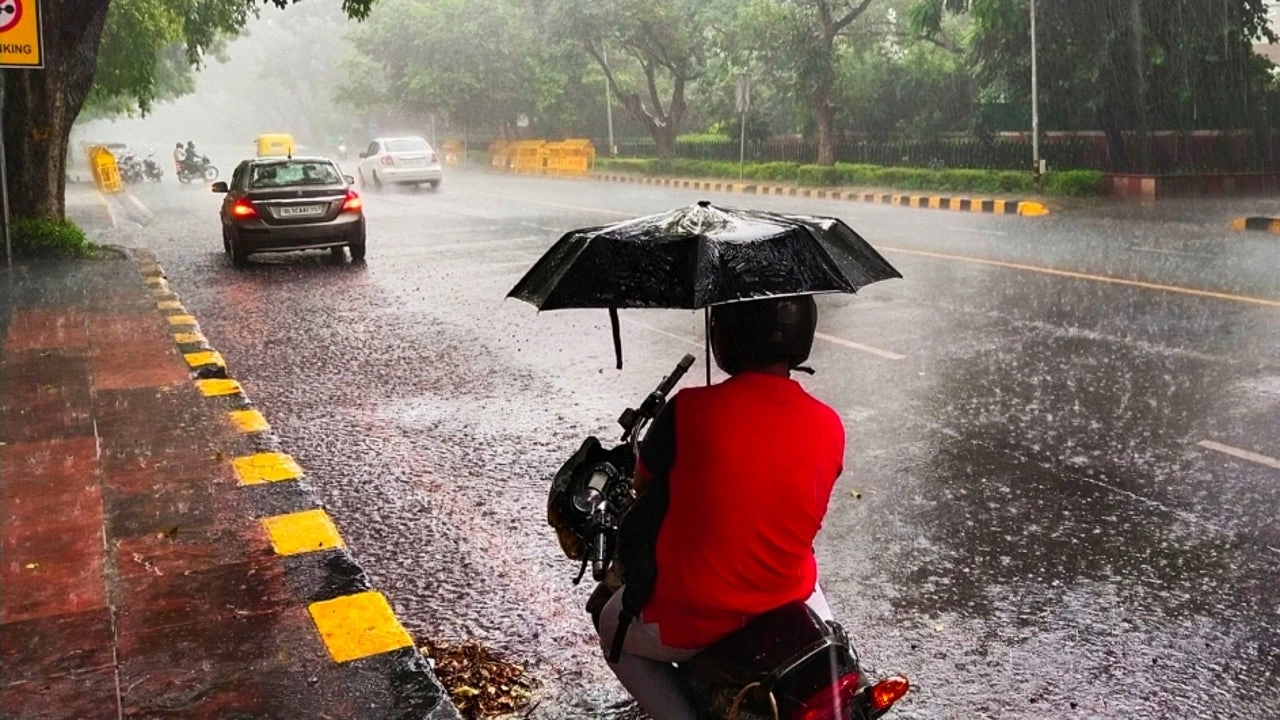 Punjab, Weather Alert Punjab, Rainfall punjab, Flash Flood Warning Issued, punjab news, weather related news- True Scoop