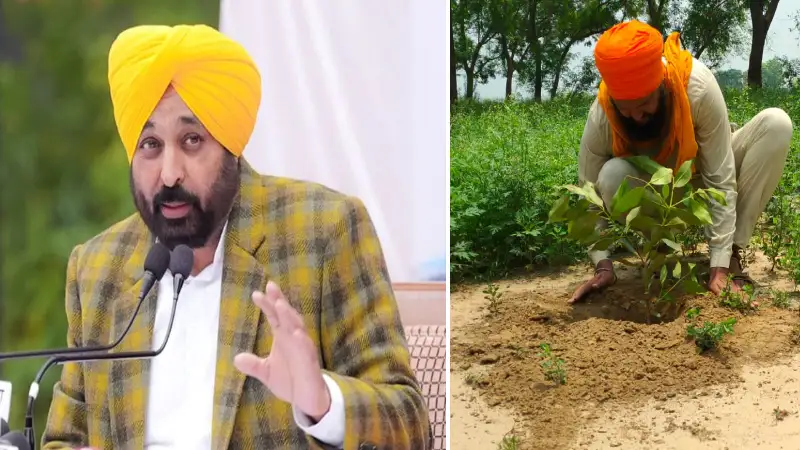 Punjab, Citrus Estate Hoshiarpur, Hoshairpur Lab Soil Testing, Hoshairpur Punjab Farmers Soil Testing Lab, Bhagwant Mann Citrus Estate Hoshiarpur  Lab, Bhagwant Mann Works For Farmers- True Scoop