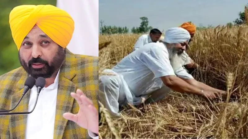 Punjab, Bhagwant Mann, Bhagwant Mann Works For Farmers, Bhagwant Mann Schemes For Farmers, Bhagwant Mann major steps for farmers, Bhagwant Mann Punjab Horticulture, Bhagwant Mann Farmers Income Increase, Bhagwant Mann Steps To Increase farmers Income- True Scoop