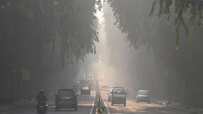 Trending, Green Lockdown, capital Lahore, Lahore's Air Quality, Director General Imran Hamid Sheikh- True Scoop