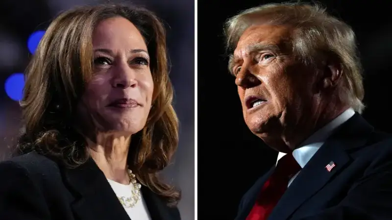 Trending, USA, Kamala Harris, Kamala Harris US President, Donald Trump Victory Kamala Harris US President, How Kamala Harris can still become US President, Joe Biden Resignation, Joe Biden Resign, Donald Trump- True Scoop