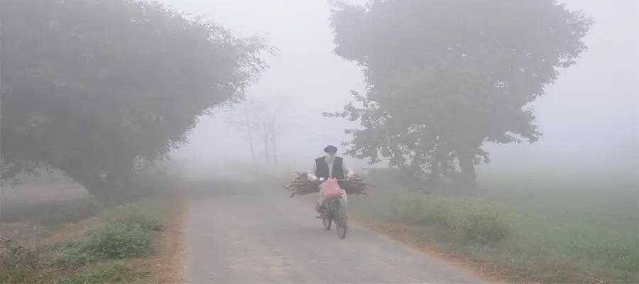 Punjab, Punjab Winter, Punjab Coldwave, Punjab 0°C, Zero Temperature, Jalandhar 1°C, Punjab Yellowalert, Punjab Westerndisturbance- True Scoop