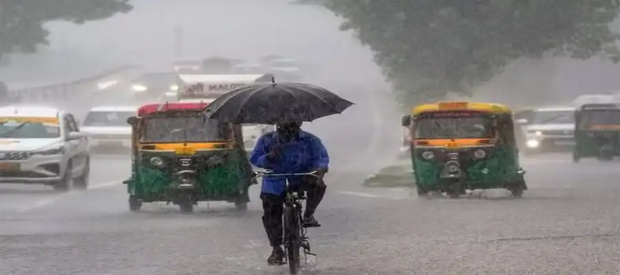 Punjab WinterRain, Jalandhar WinterRain, Jalandhar January2025Rain, Ludhiana January2025Rain, Punjab WinterShowers, Punjab- True Scoop