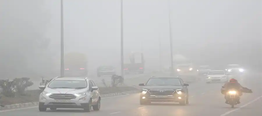 Cold wave alert, Milan-Amritsar flight, Punjab weather, Punjab news, Punjab temperature, western disturbance, Zero visibility, Meteorological Department- True Scoop