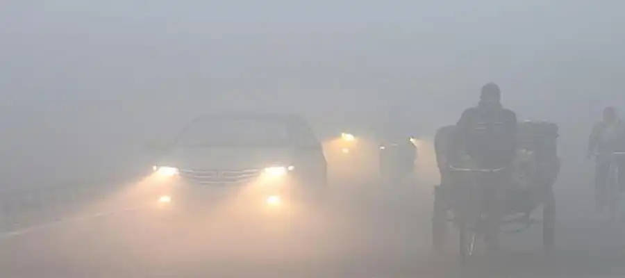 Dense fog blankets Punjab, Punjab weather update, fights disrupted in Punjab, Punjab weather forecast, when is rainfall expected in Punjab, winter rainfall expected in Punjab, rainfall and storms to Punjab and Chandigarh, Punjab districts expecting rainfall, dense fog in districts of Punjab, Punjab- True Scoop