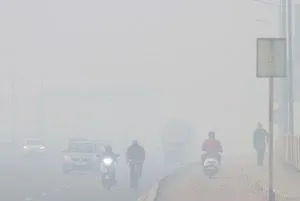 Indian Meteorological Department, Dense fog Delhi-NCR, Delhi temperature, Dense fog, Delhi International Airport Limited, Delhi-NCR fog- True Scoop