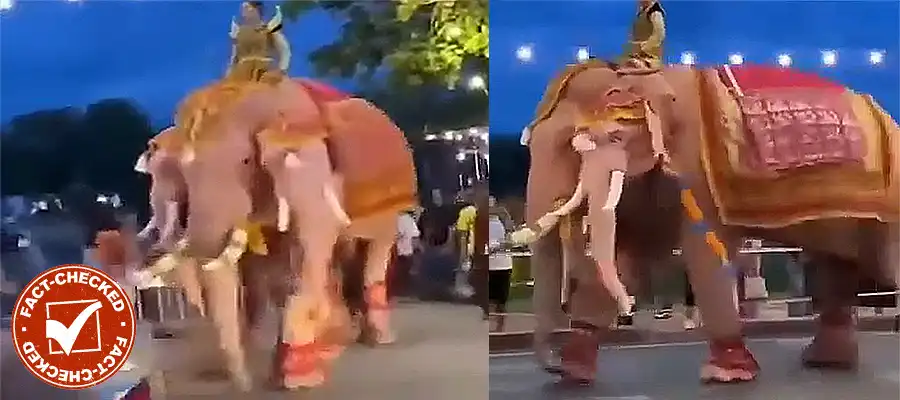 Three headed elephant, Three headed elephant Mahakumbh, Three headed elephant Prayagraj, ThreeHeadedElephant Mahakumbh2025, Mahakumbh2025 Prayagraj ViralVideo, Fact Check- True Scoop