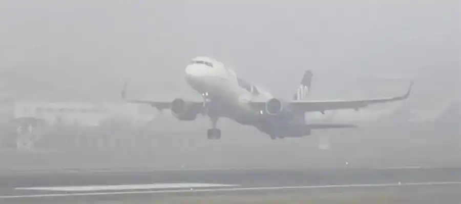 Indian Meteorological Department, Delhi airport, Delhi airport flights delay, Delhi airport fog, Delhi airport advisory, Delhi dense fog, Delhi weather, Trending- True Scoop