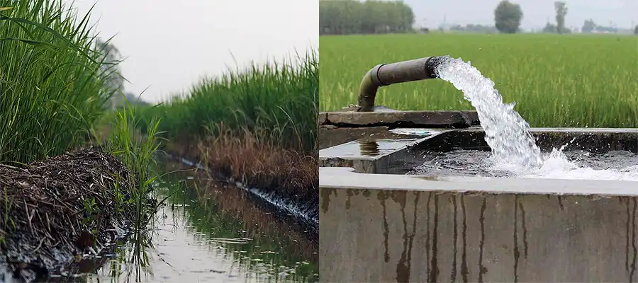 Punjab Groundwater, Punjab Groundwater Unsafe Drinking, Punjab Groundwater Chemical, Centre report Punjab Groundwater, Study on Punjab Groundwater, Punjab Groundwater Irrigation, Central Ground Water Board Punjab Groundwater, Punjab Groundwater Uranium, Punjab- True Scoop