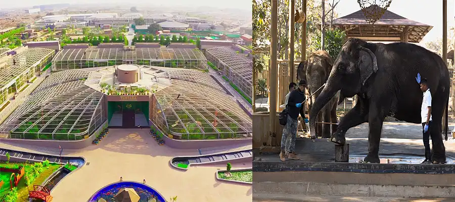 Vantara Jamnagar, Vantara Jamnagar PM Modi, Vantara Jamnagar opening date, Vantara Jamnagar uniqueness, Vantara Jamnagar wildlife santuary, Vantara Jamnagar wildlife location, India, Trending, Anant Ambani's vision Vantara, Vantara meaning, what Kohli said for Vantara- True Scoop