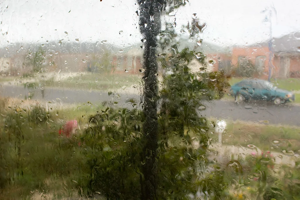 Weather updates, Punjab Weather, When will rain fall in Punjab, Gusty Winds, Weather in Punjab, Latest news, Latest update, Trending news- True Scoop