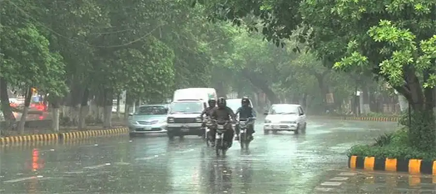 Weather in Punjab, Rain in Punjab, Yellow alert, Indian Meteorological Department, Latest weather update, Weather forecast, Latest news, Latest update, Trending news- True Scoop