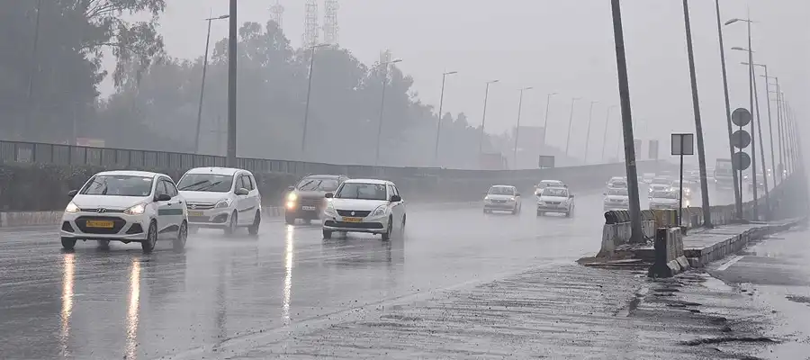 Punjab Rainfall, Punjab Rainfall Prediction, Rainfall Prediction Punjab May 2025, IMD Rainfall prediction Punjab, Punjab 4 Days Rainfall Prediction, Punjab- True Scoop