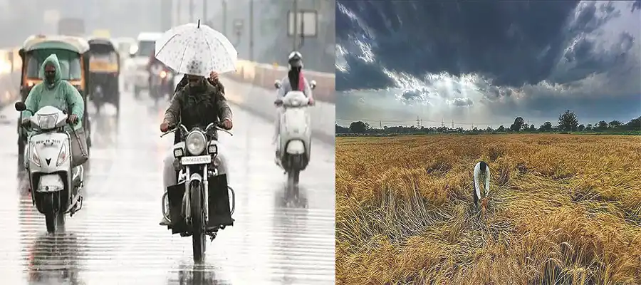 Rainfall alert in Punjab, weather forecast Punjab, Punjab weather news, rainfall in Amritsar, orange alert in Amritsar, Punjab- True Scoop