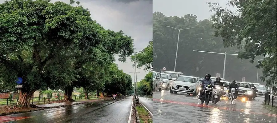 Punjab Monsoon, Punjab Monsoon 2025, Punjab Monsoon Update, Punjab Monsoon IMD, IMD Update Punjab Monsoon, Punjab Monsoon Dates 2025, Punjab- True Scoop