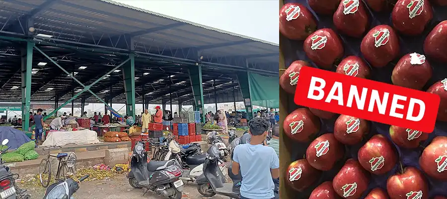 Jalandhar mandi boycotts turkey, Jalandhar updates, Boycott Turkey, Boycott Turkish goods, India-Pak border tensions, India news today, India boycotts Turkey, Punjab, India, Trending- True Scoop