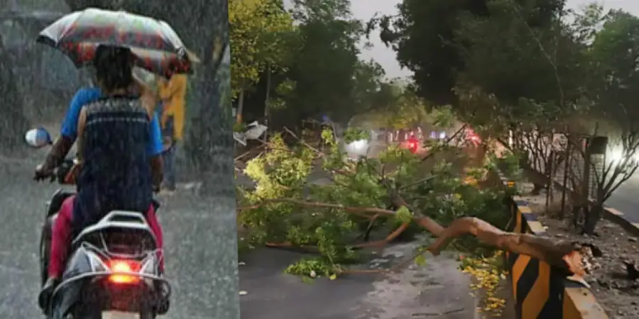Punjab Thunderstorm, Punjab Thunderstorm News, Punjab Thunderstorm Prediction, Punjab Thunderstorm Reason, Why Punjab was hit by thunderstorm, Jalandhar Thunderstorm Reason, Punjab- True Scoop
