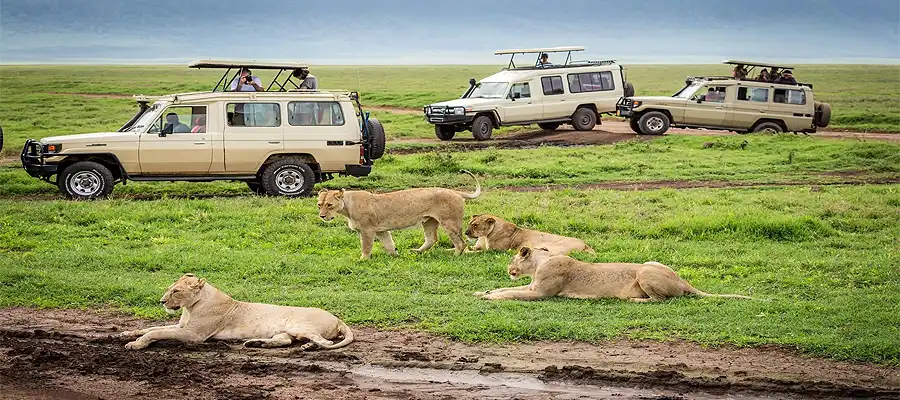 Maasai Mara, Maasai Mara wildlife Africa, how to travel Maasai Mara, where is Masaai Mara located, travel guide to Maasai Mara- True Scoop