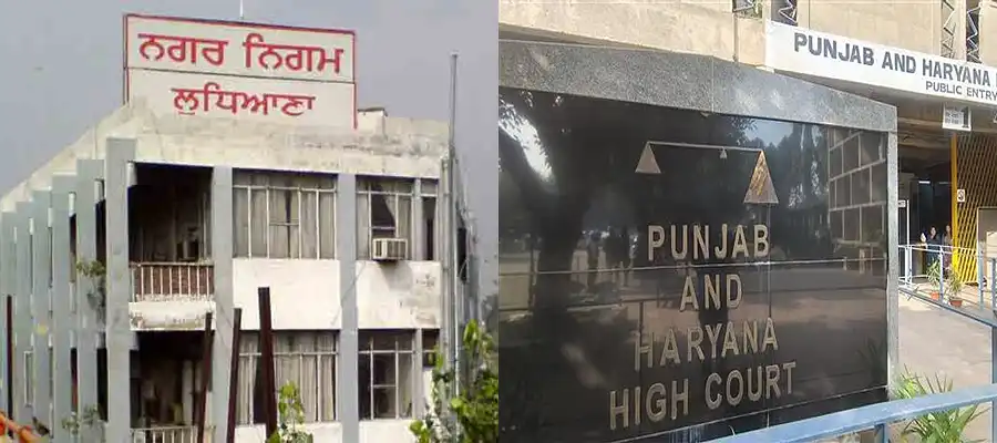 Punjab-Haryana HC, Punjab Haryana-Ludhiana MC case, warrant against Ludhiana MC, Punjab updates, Punjab news- True Scoop