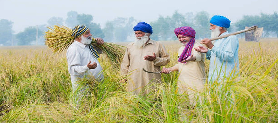 Punjab’s land and pooling policy, Punjab’s land and pooling policy benefits, protection under Punjab’s land and pooling policy:, Punjab farmer's land policy, Punjab updates, Punjab government- True Scoop
