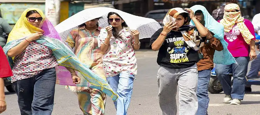 Punjab weather update, Punjab weather report, Punjab weather news today, Punjab weather forecast, Rainfall in Punjab, Jalandhar updates, Punjab news today- True Scoop