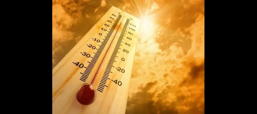 Jalandhar weather update, Jalandhar weather report, Punjab weather today, Punjab weather update, Punjab heatwave alert, Punjab red alter, Punjab no rainfall- True Scoop