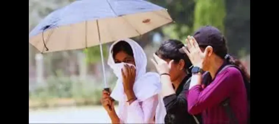 Punjab red alert, Punjab heatwave alert, Punjab heatwave alert today, Jalandhar weather updates, Punjab weather updates, Punjab weather today, today weather forecast Punjab, Punjab maximum temperature today, Rainfall expected date Punjab- True Scoop