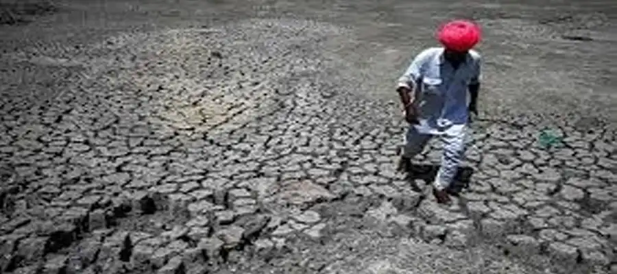 State of India's Environment in Figures 2025, Centre for Science and Environment (CSE), Down To Earth (DTE) magazine, India heatwave, India weather condition, weather report India, highest temperature in India, economic effect of climate change, weather condition effect, India, Trending- True Scoop