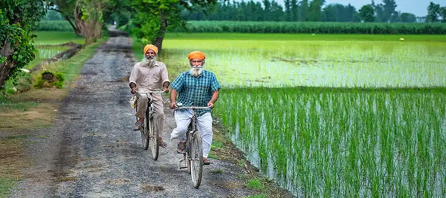 Punjab news, Punjab MPs promote rural development, Gurjeet Singh Aujla, Punjab news today, list of Punjab MPs, Punjab- True Scoop