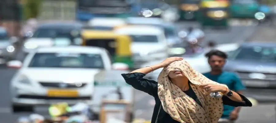 Punjab Weather Red Alert Summer, Punjab Weather, Punjab Summer Red Alert, Punjab Severe Heatwave Red Alert, Punjab Rainfall Prediction June 2025, IMD Punjab Rainfall Prediction June, Punjab- True Scoop