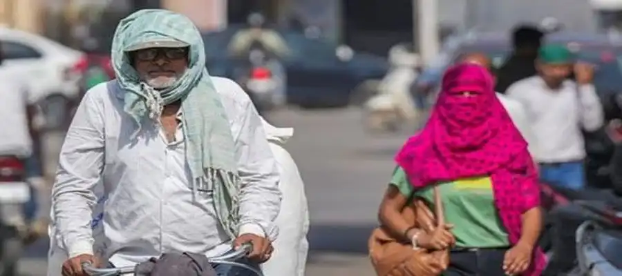 Punjab Heatwave, Punjab Heatwave Alert, Punjab Rainfall Prediction, Punjab Thunderstorm Prediction, Punjab 5 days rainfall prediction, Punjab Weather Red Alert Heatwave, Punjab- True Scoop
