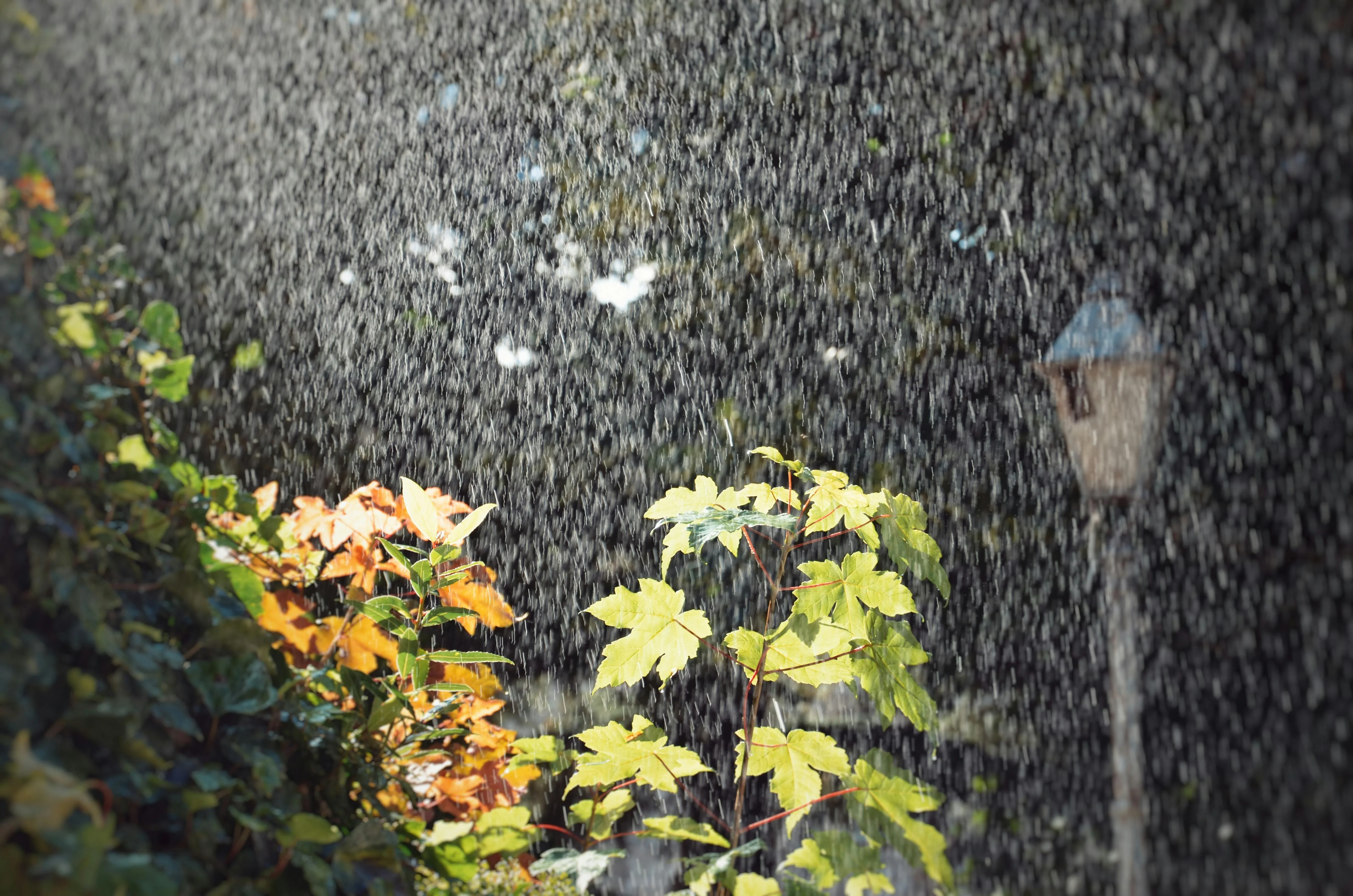 Jalandhar weather, IMD forecast, Jalandhar rain prediction, monsoon in Punjab, Jalandhar humidity levels, heatwave relief, Jalandhar temperature update, June 2025 rainfall, thunderstorms in Jalandhar, scattered showers Punjab, Jalandhar weather June 18–25, Indian Meteorological Department, monsoon alert Punjab, rain and humidity, Jalandhar weekly forecast, waterlogging alert, health advisory rain, Jalandhar climate update, weather discomfort, temperature drop Jalandhar- True Scoop